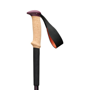 Black Diamond Trail Cork Trekking Pole