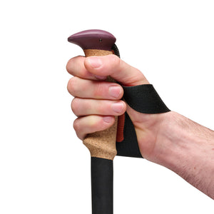 Black Diamond Trail Cork Trekking Pole