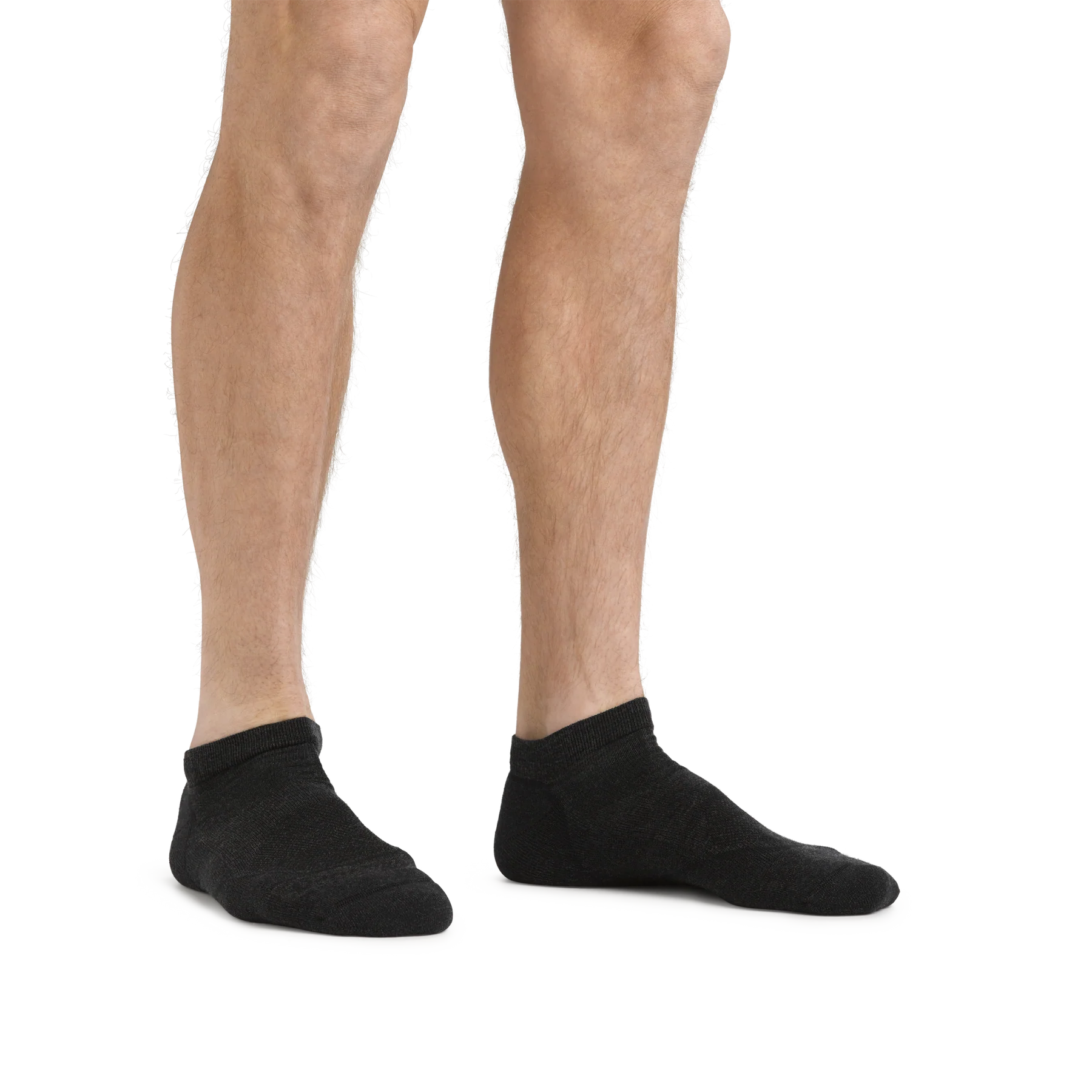 Darn Tough 1990 Light Hiker No Show Lightweight with Cushion - Men's