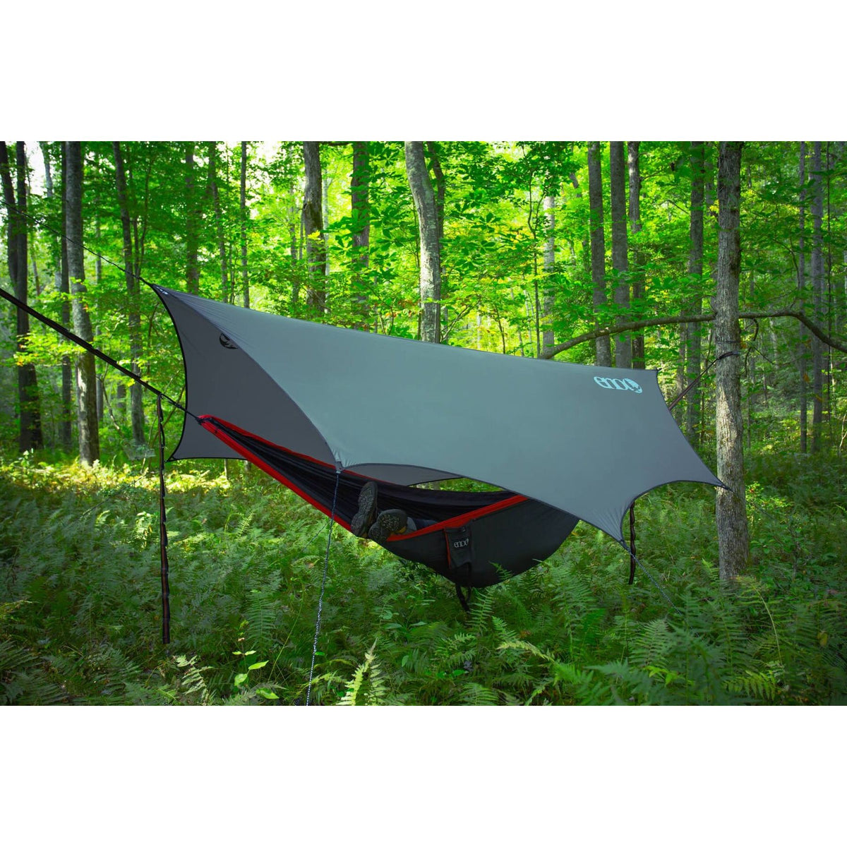 ENO DryFly