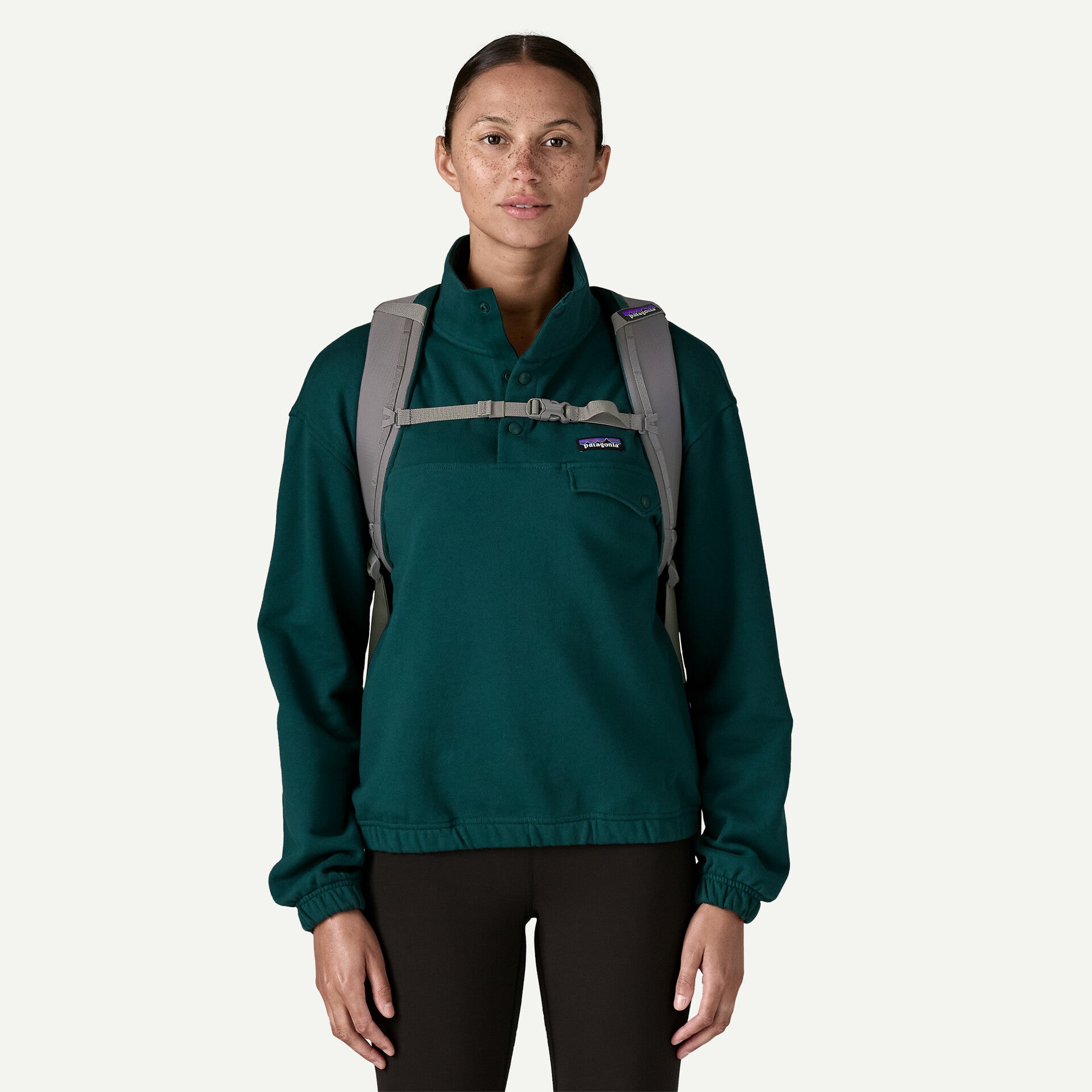 Patagonia Refugio Day Pack 26L