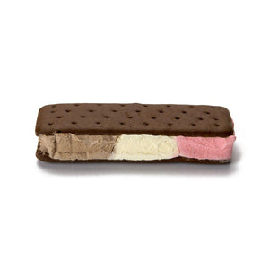 Backpacker's Pantry Neapolitan Ice Cream Sandwich