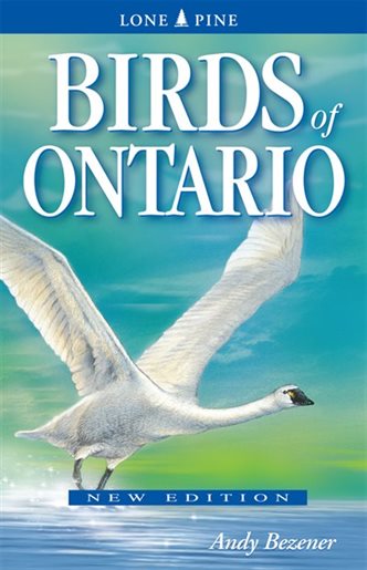 Lone Pine Birds of Ontario