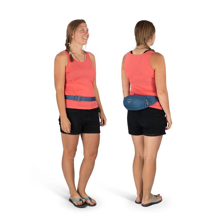 Osprey Daylite Waist