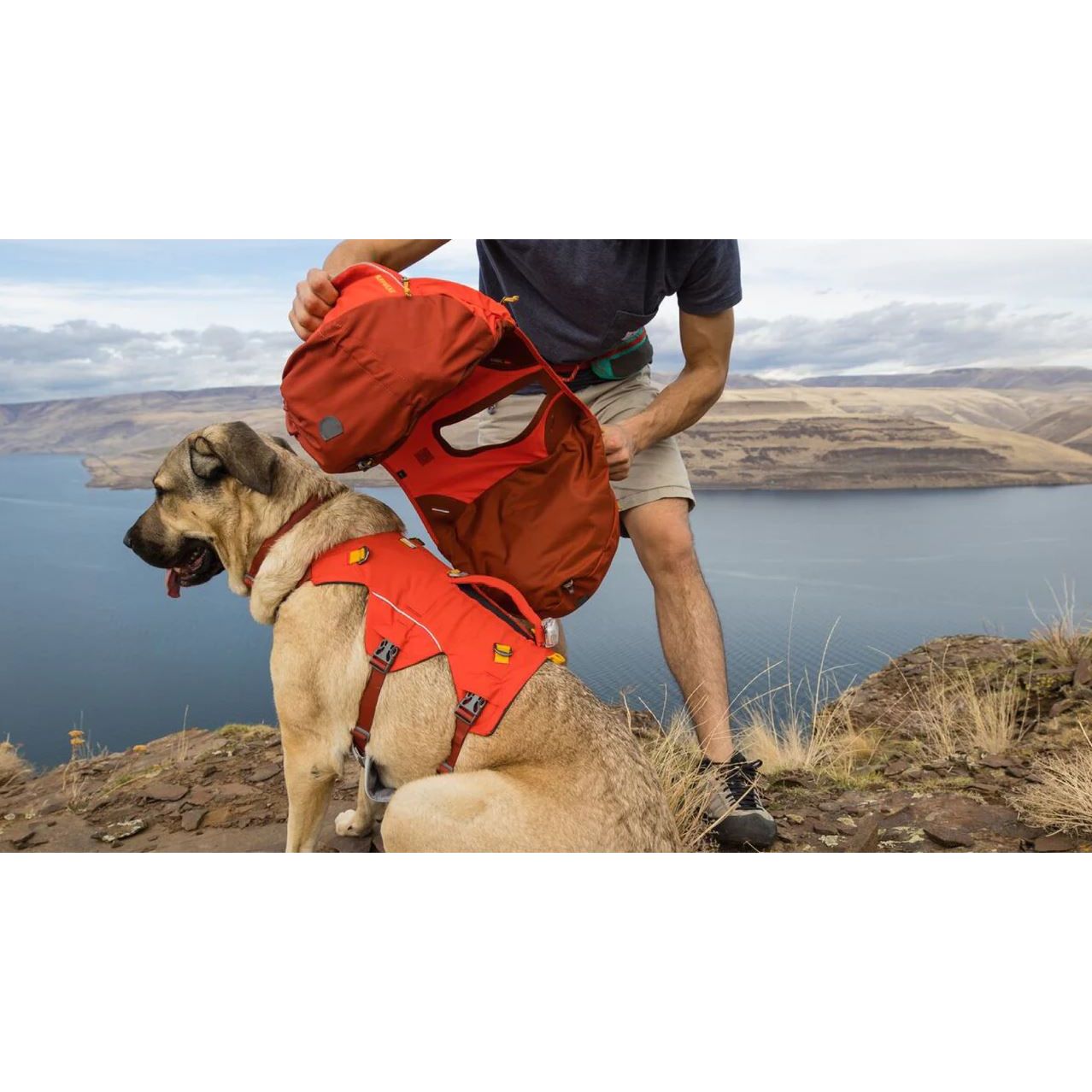 Ruffwear Palisades Pack