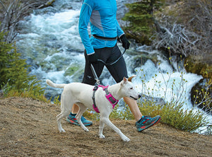 Ruffwear Front Range Harness