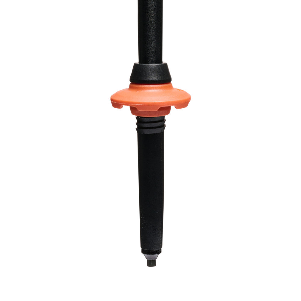 Black Diamond Trail Cork Trekking Pole