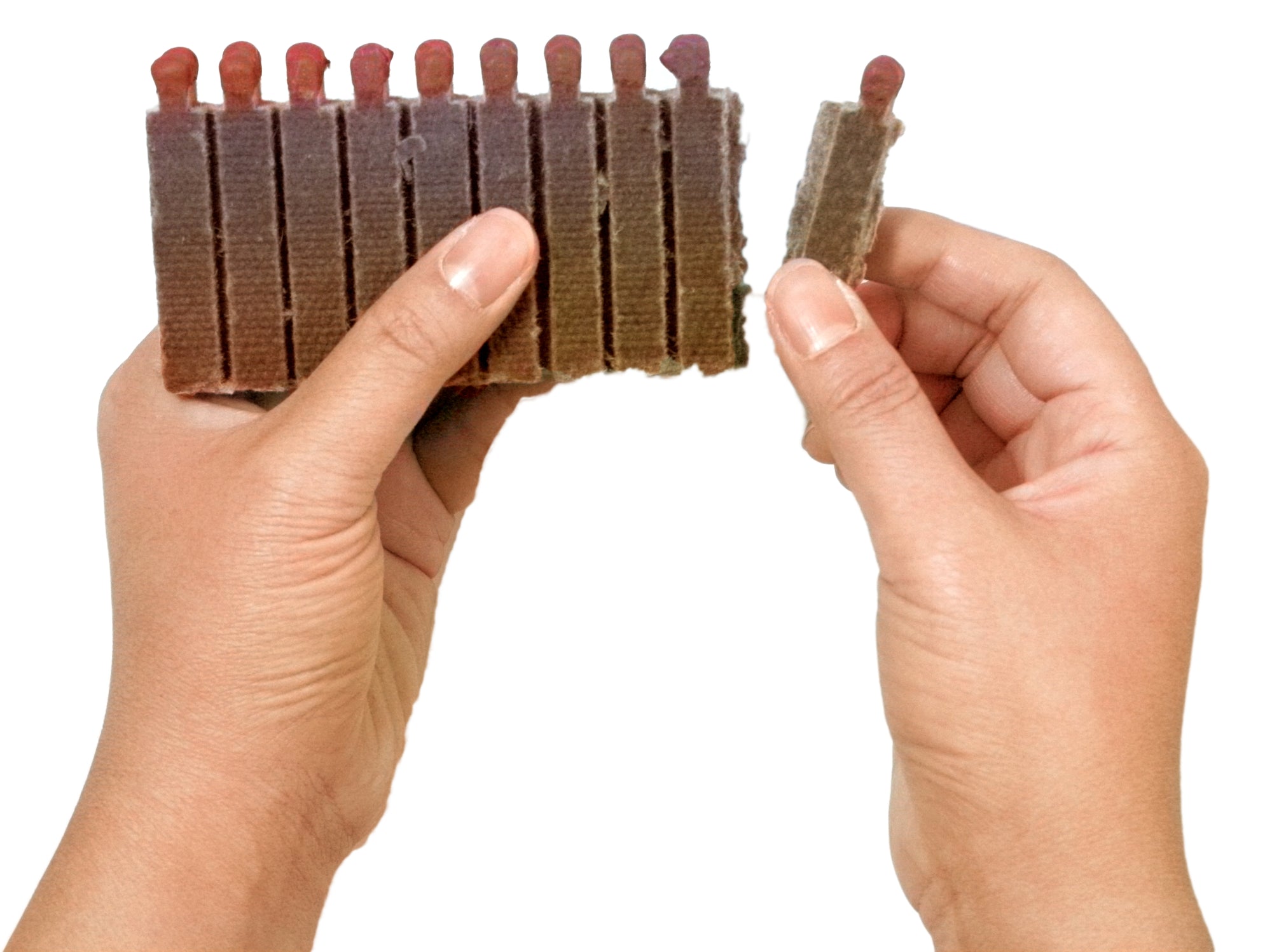 Coghlan's Fire Lighters