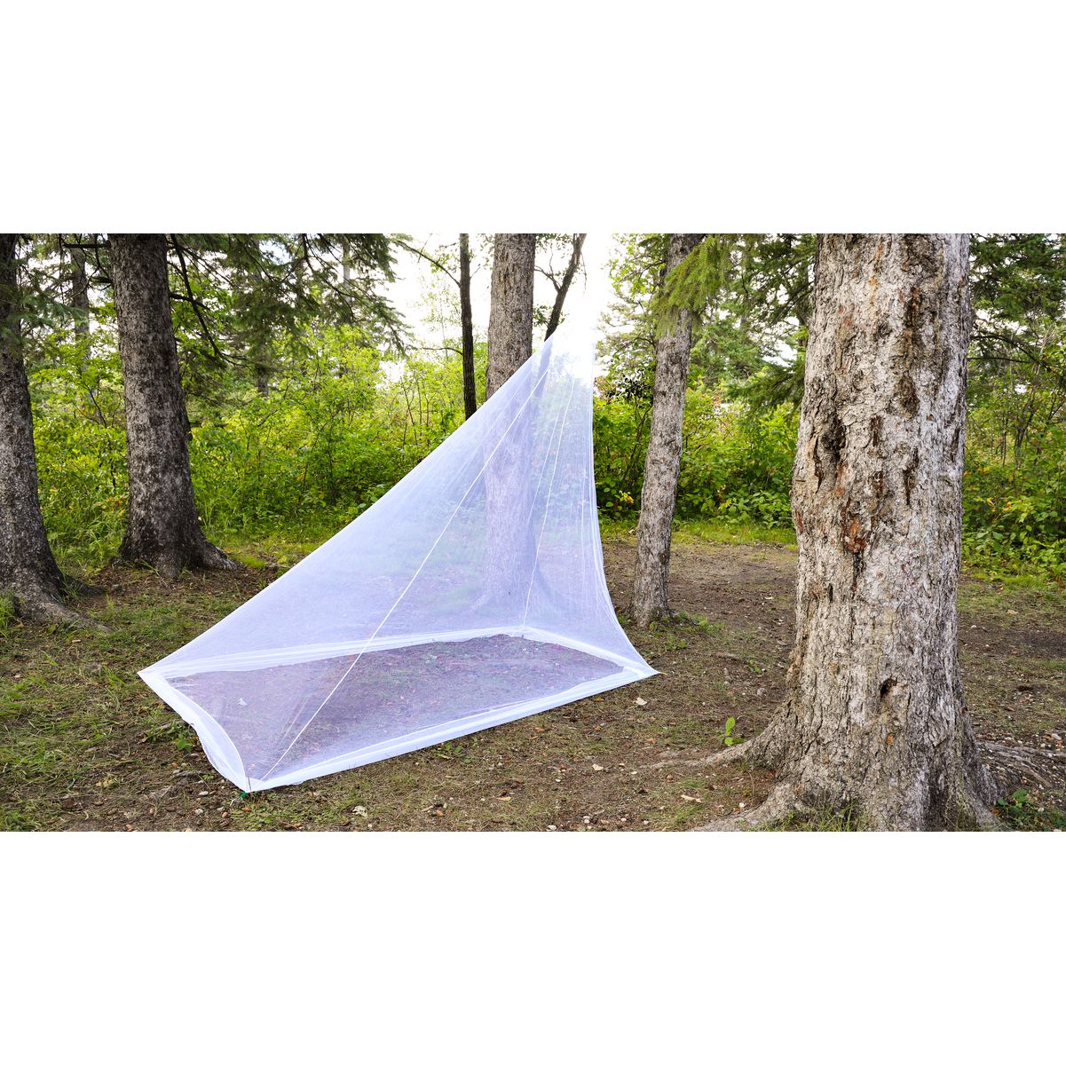 Coghlan's Mosquito Net Hikers