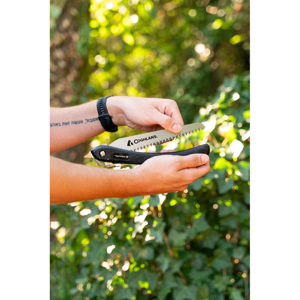 Coghlan's Sierra Saw