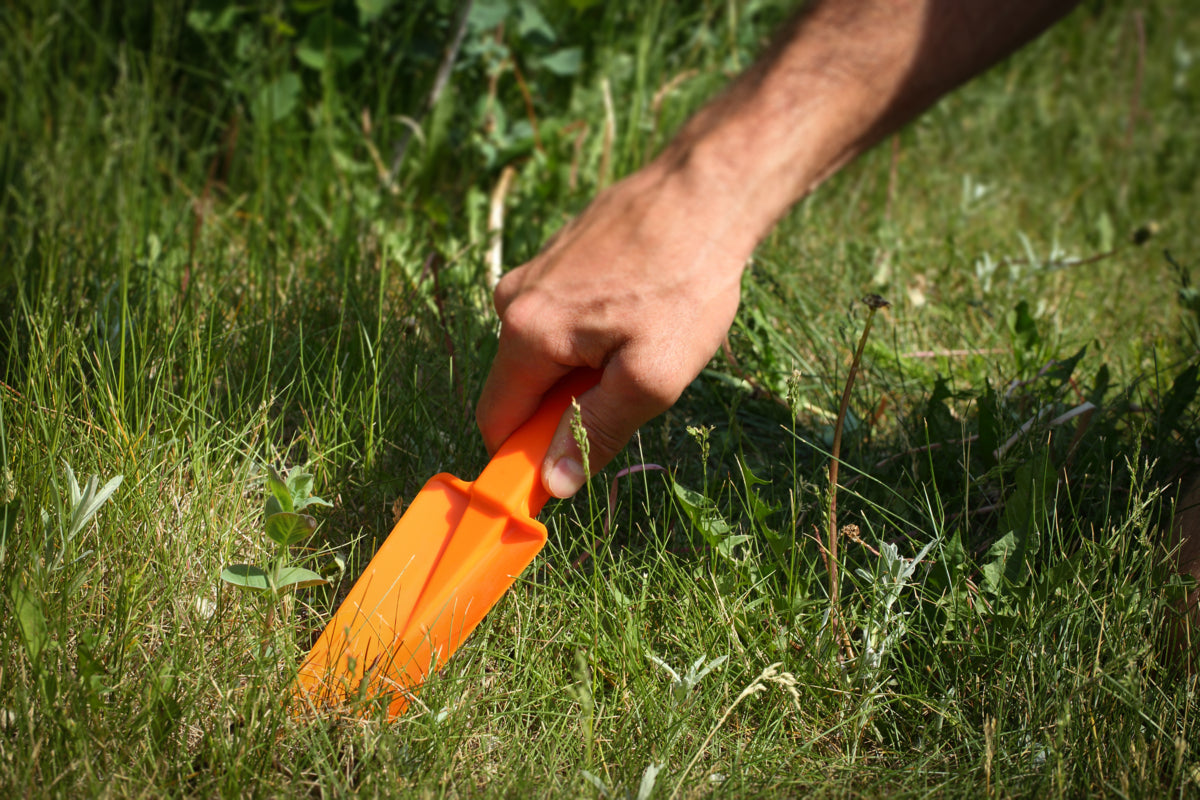 Coghlan's Trowel  Backpackers