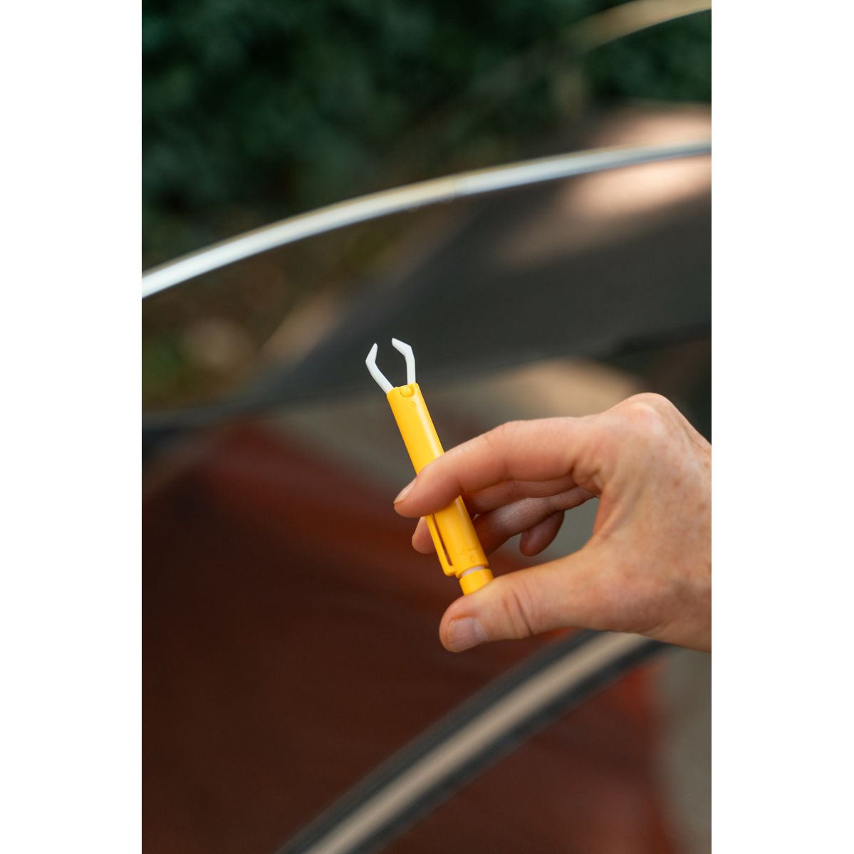 Coghlan's Tick Remover