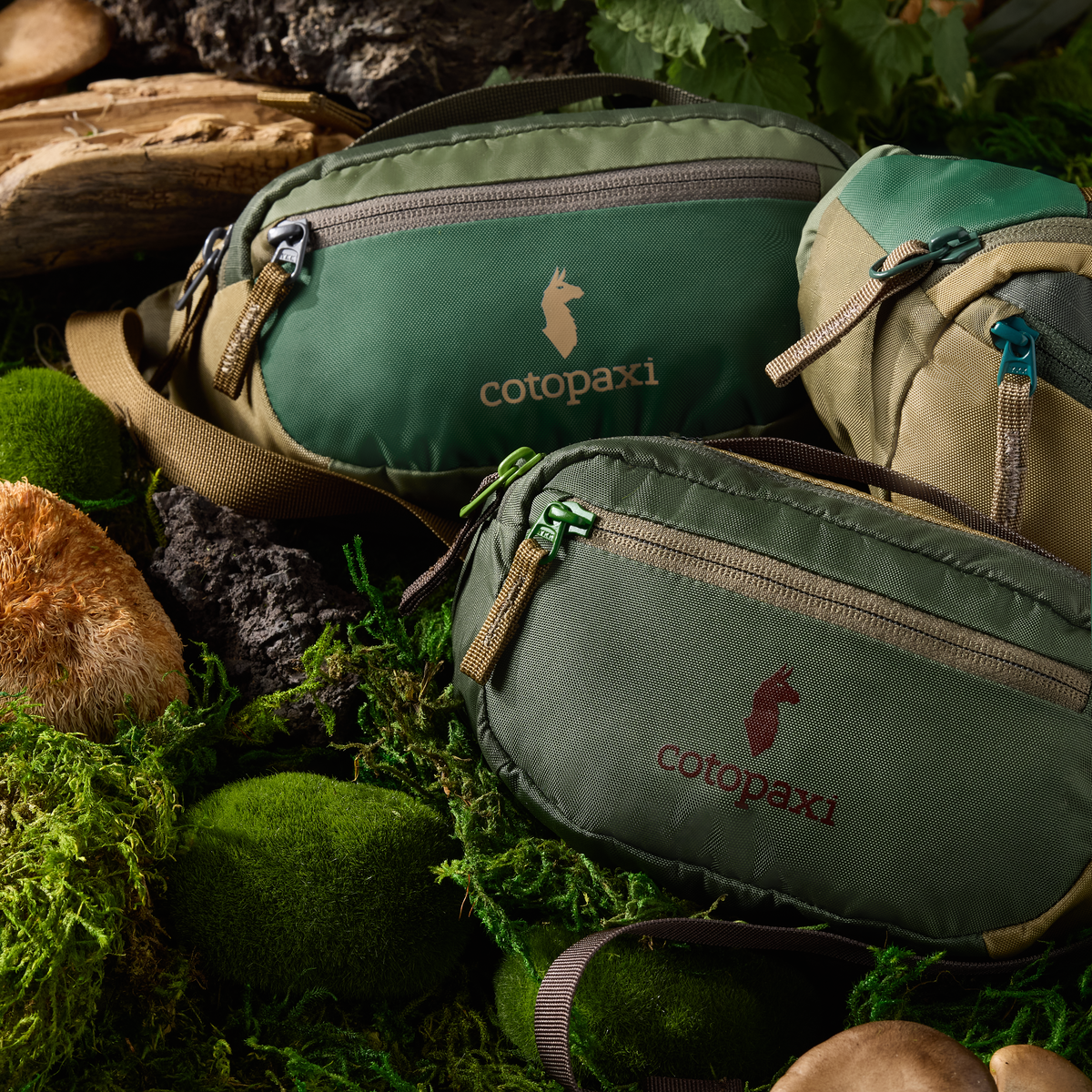 Cotopaxi Kapai 1.5L Hip Pack - Del Dia Earth