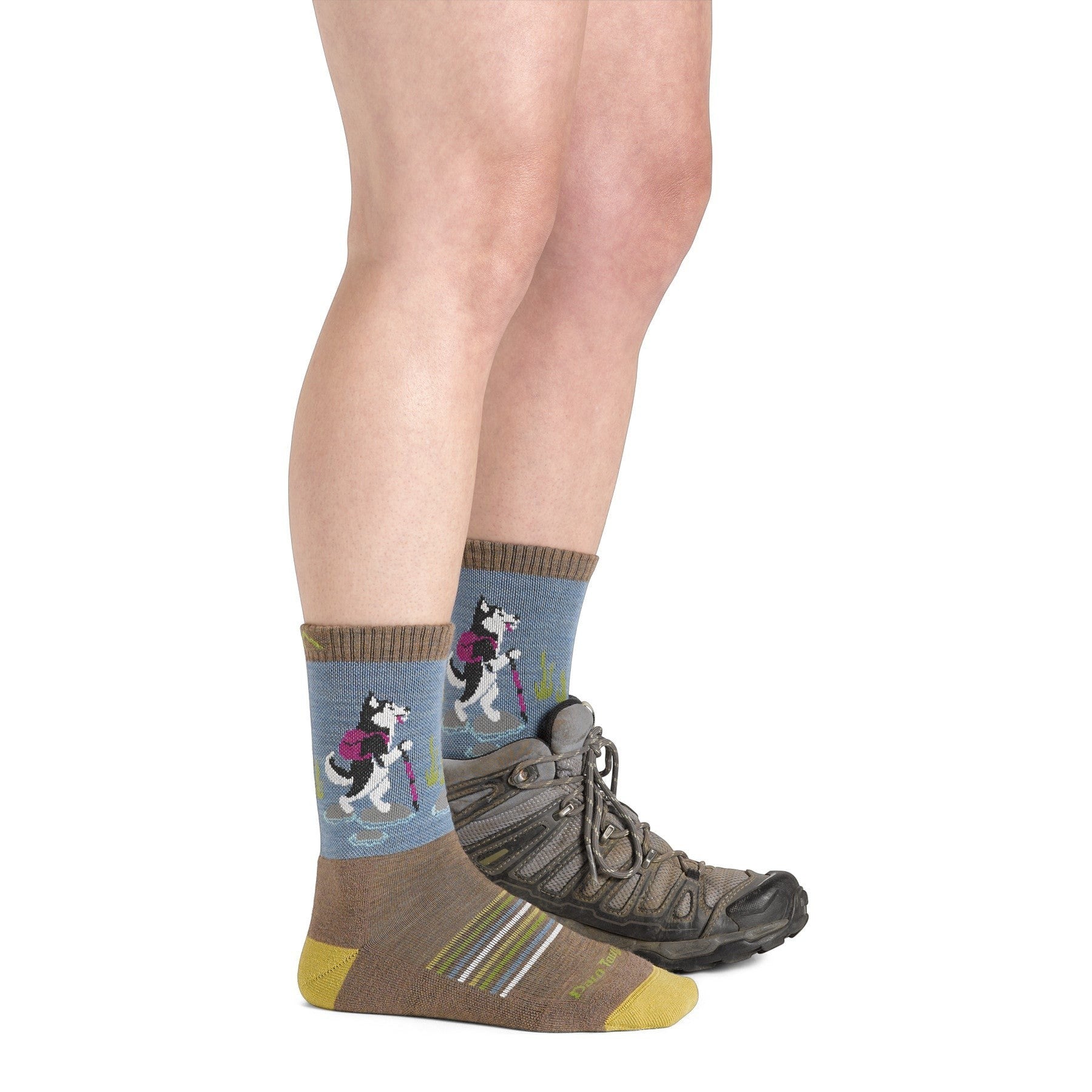 Darn Tough 5001 Critter Club Micro Crew Lightweight with Cushion - Women's