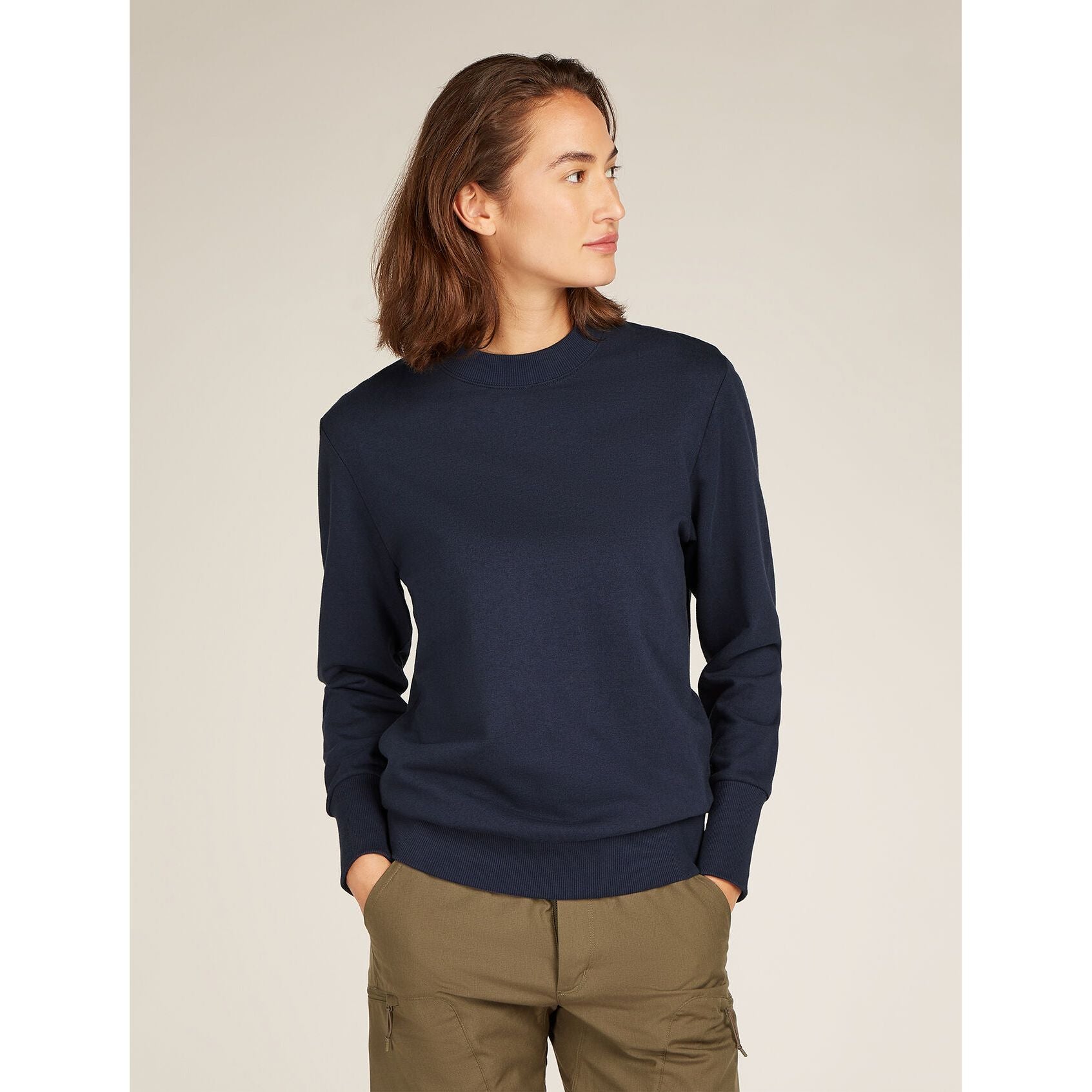 Icebreaker Central II LS Sweatshirt - Women's  - Final Clearance