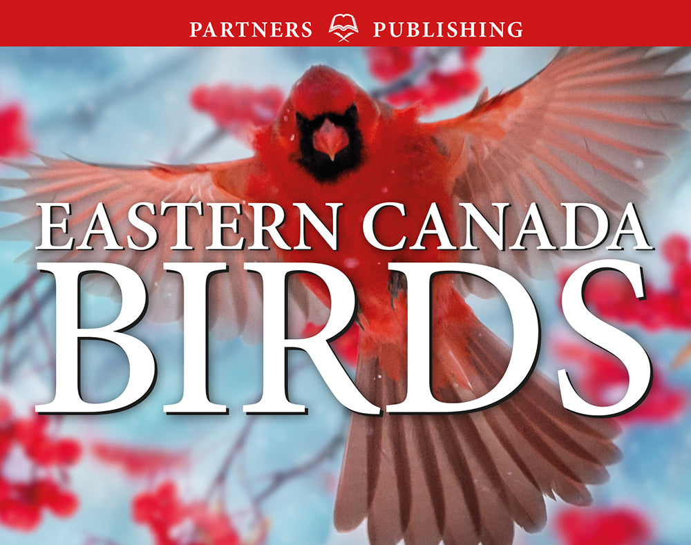 Lone Pine Eastern Canada Birds Pocket Guide