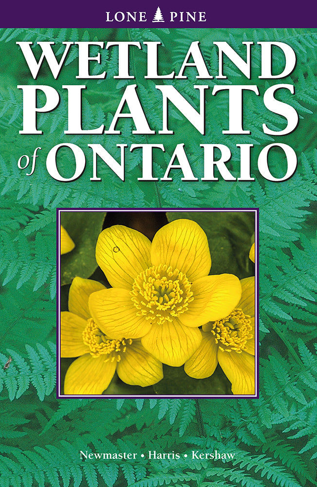 Lone Pine Wetland Plants of Ontario