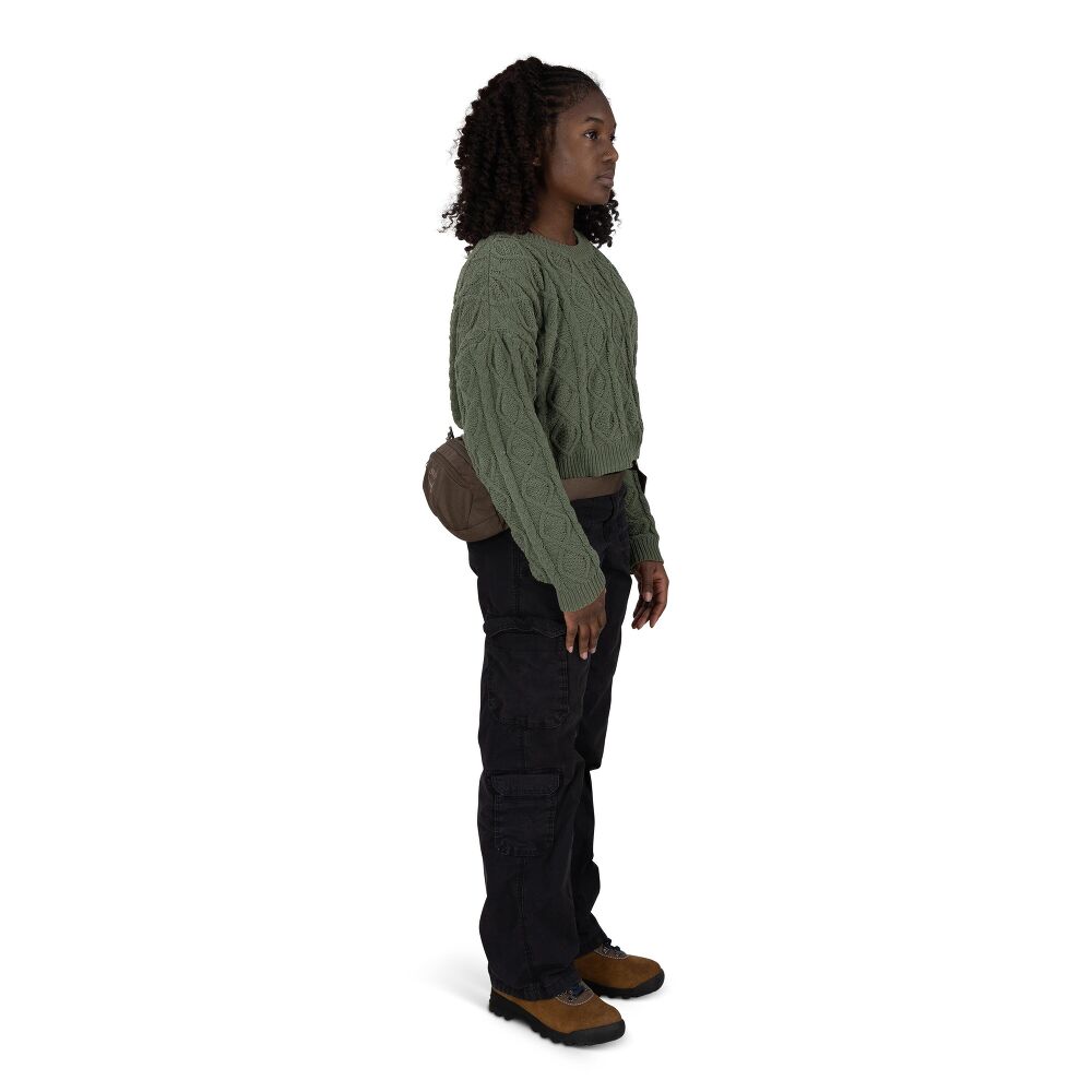 Osprey Daylite Waist Driftshade