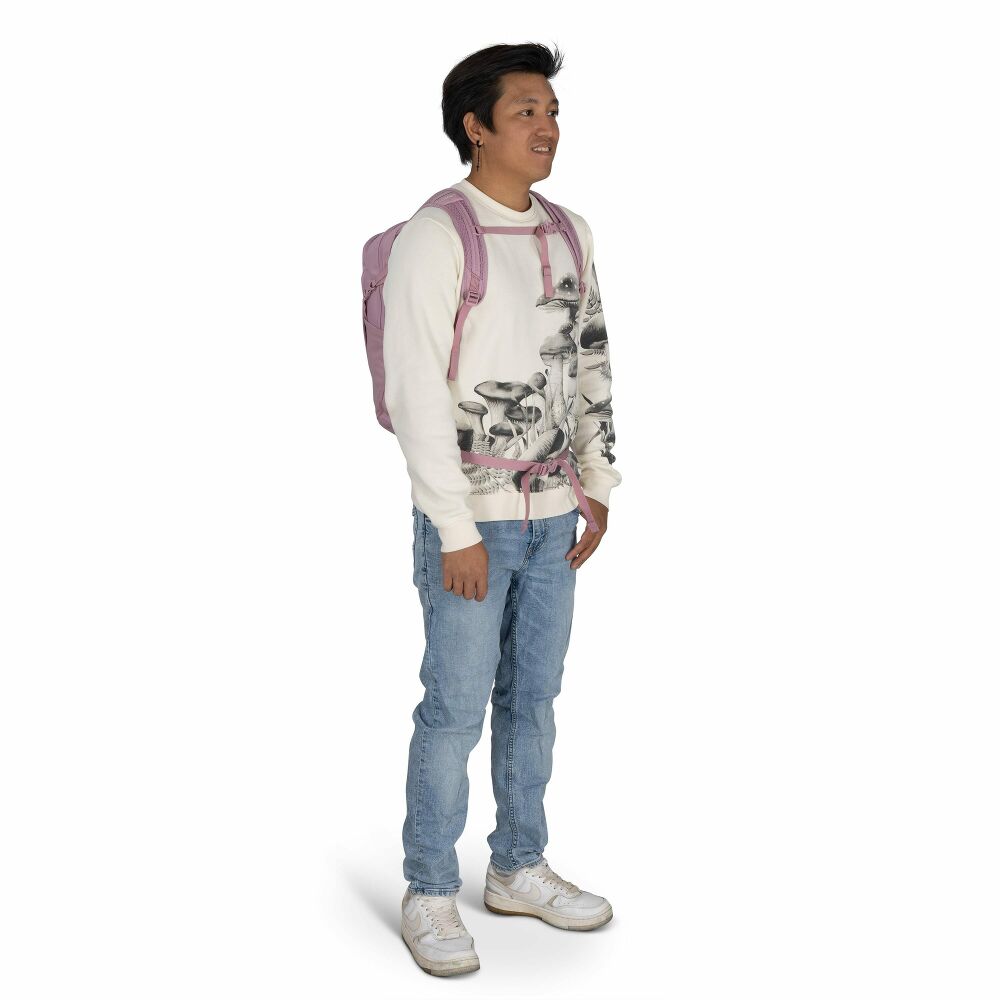 Osprey Daylite