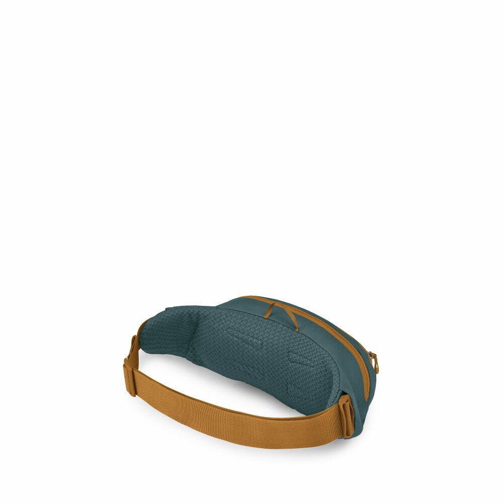 Osprey Daylite Waist