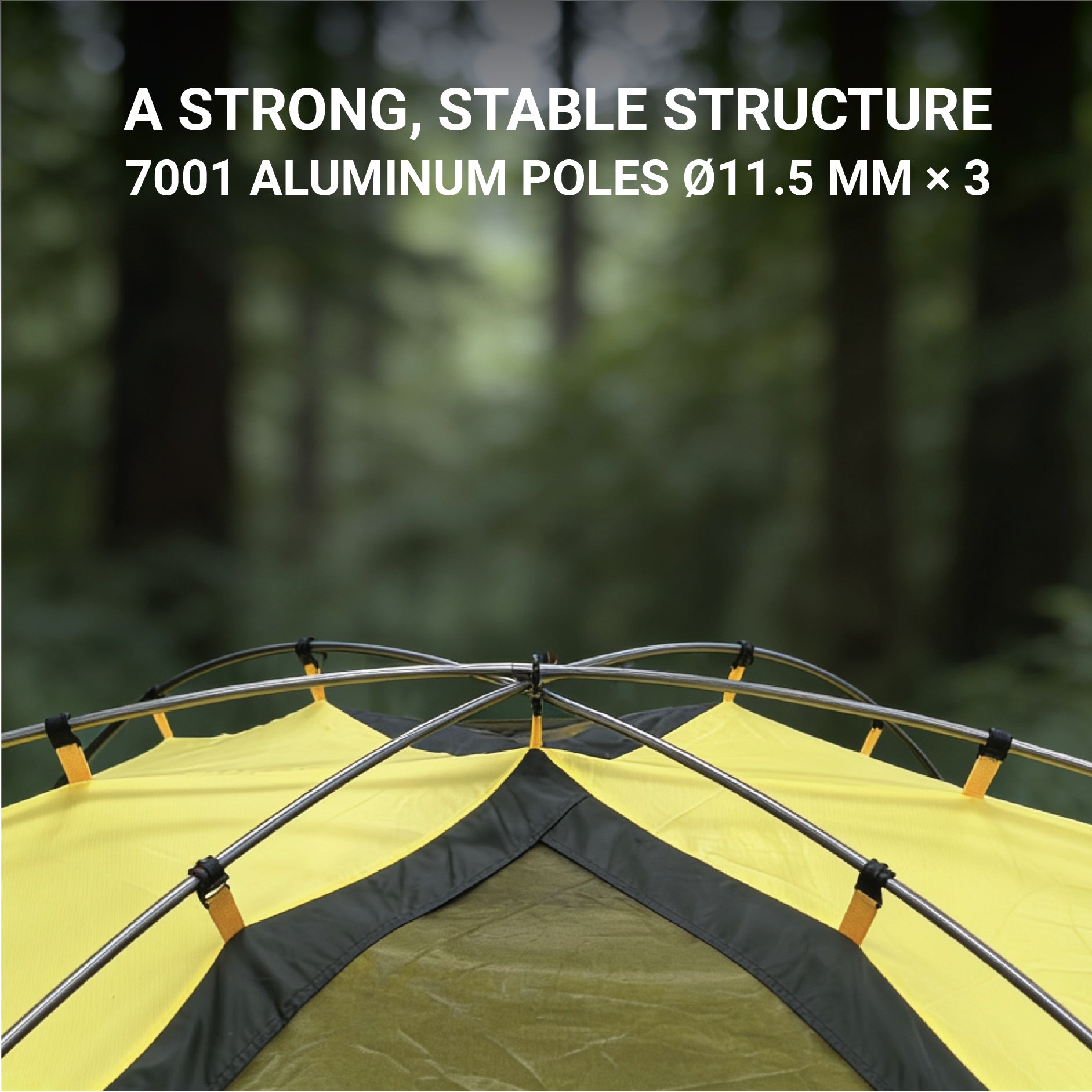 Treqa Outfitter Series 4-Person Tent