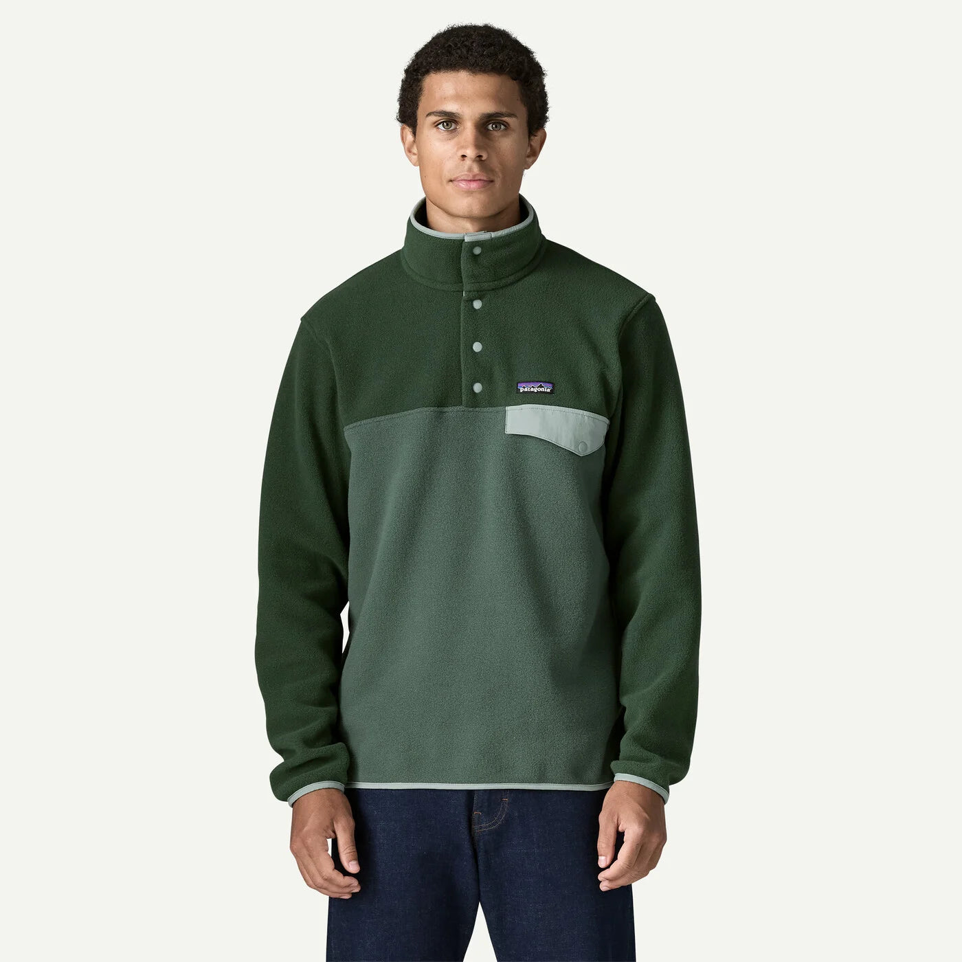Patagonia Lightweight Synchilla Snap-T Pullover - Men's