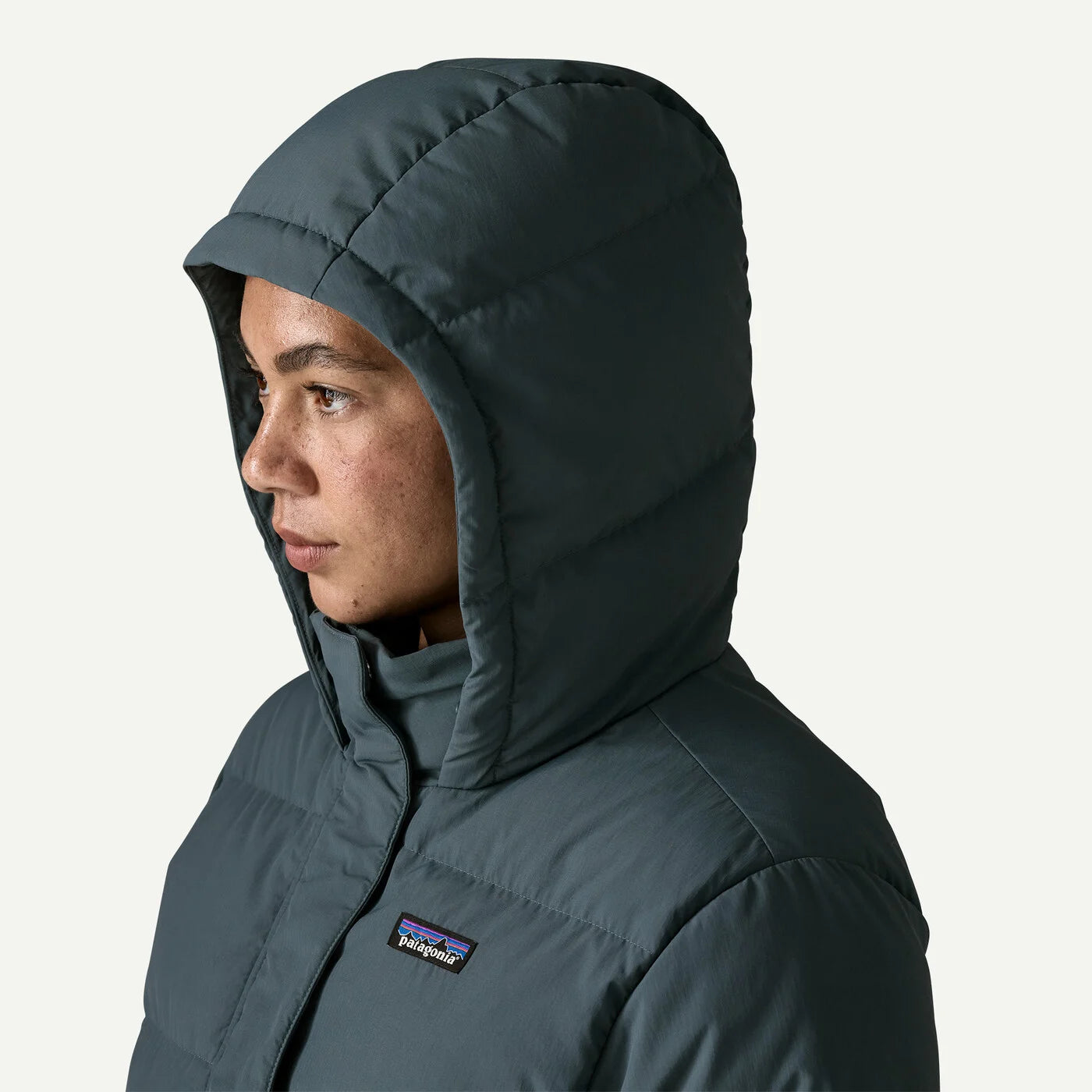 Patagonia Sisar Down Parka - Women's