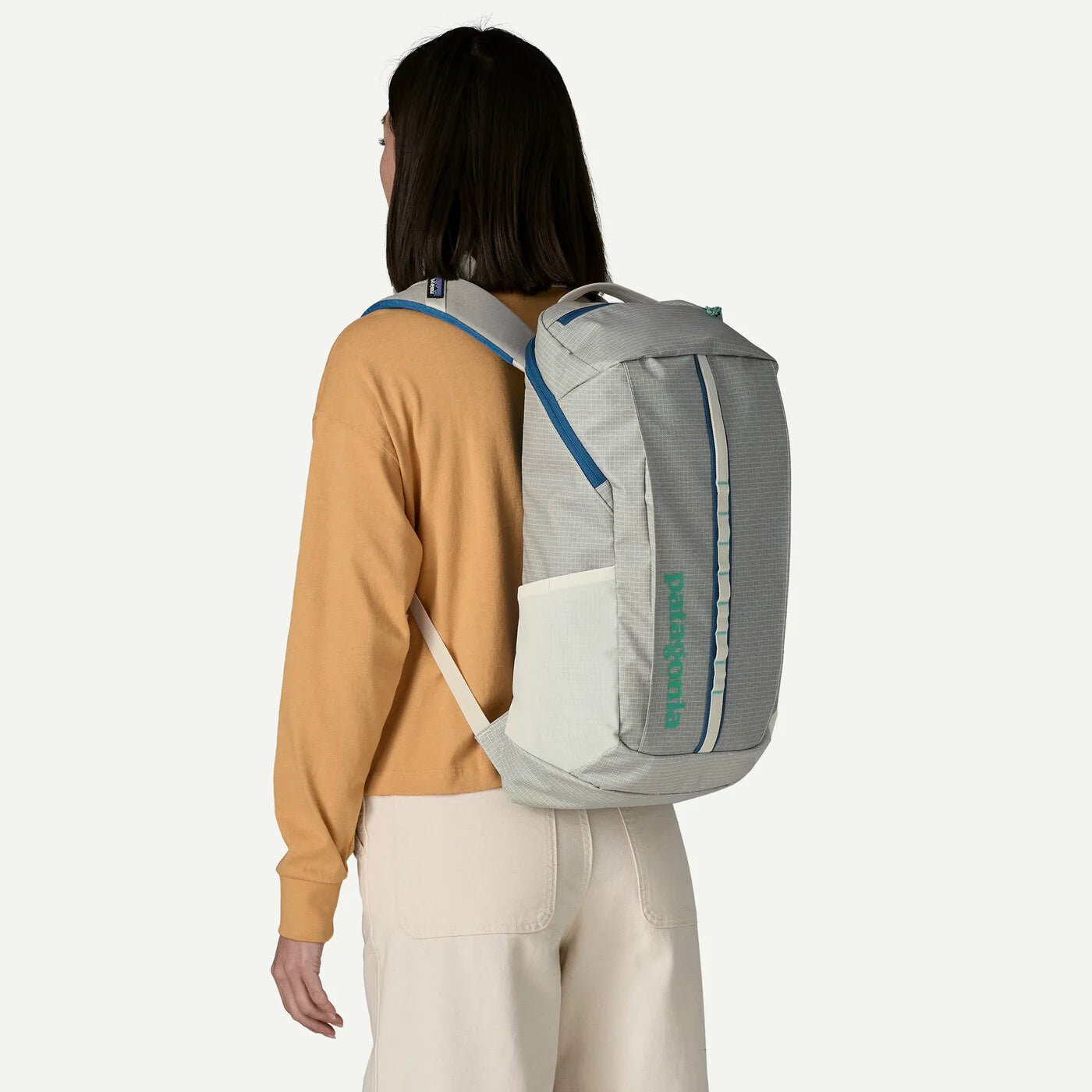 Patagonia Black Hole Pack 25L