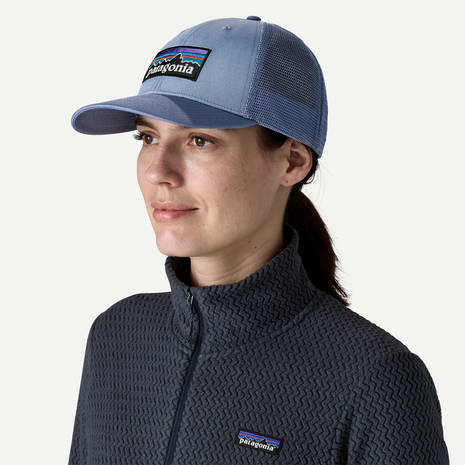Patagonia P-6 Logo LoPro Trucker Hat