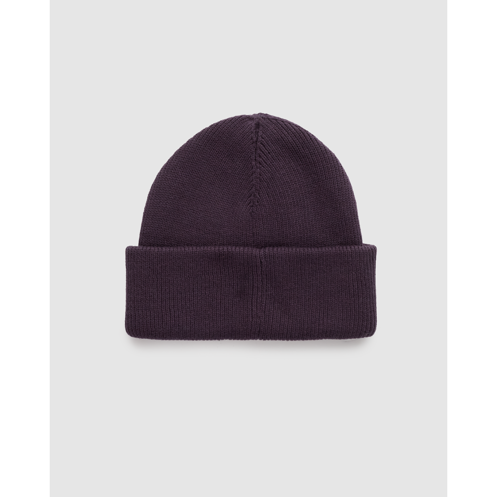 Tentree Alden Beanie