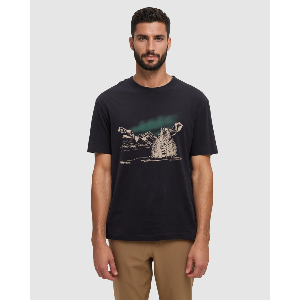 Tentree Parks Landscape Relaxed T-Shirt - Men's