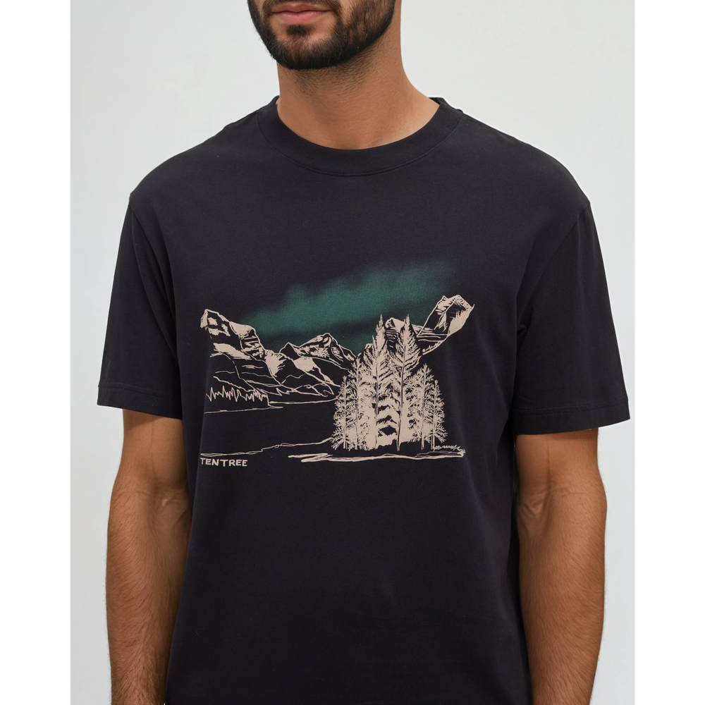 Tentree Parks Landscape Relaxed T-Shirt - Men's