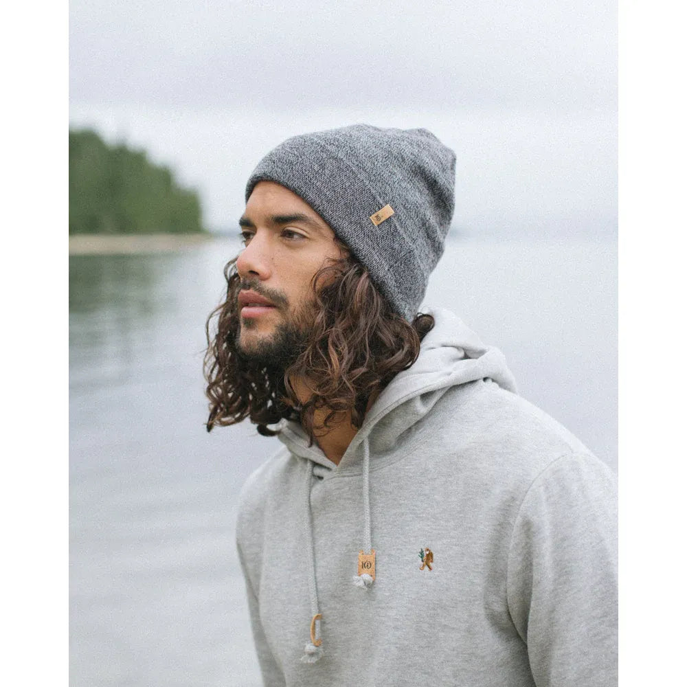 Tentree Wool Kurt Beanie