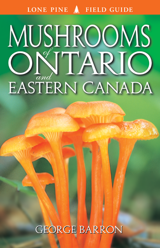 Lone Pine Mushrooms of Ontario & Eastern Canada