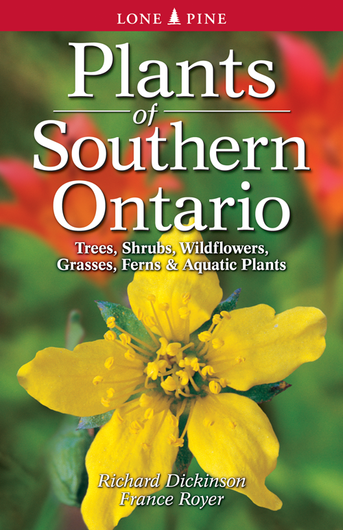 Lone Pine Plants of Southern Ontario