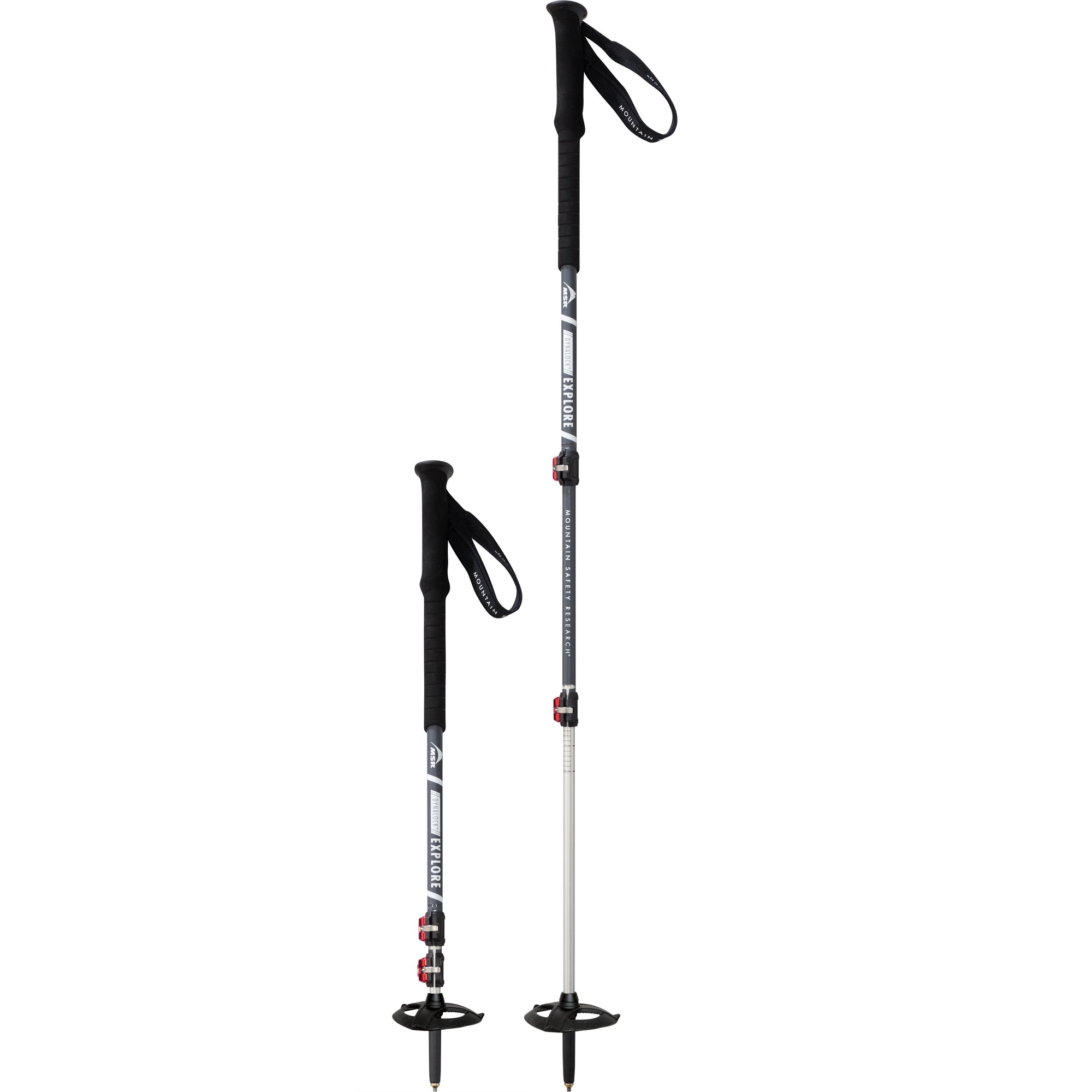 MSR DynaLock Explore Poles (Pair)