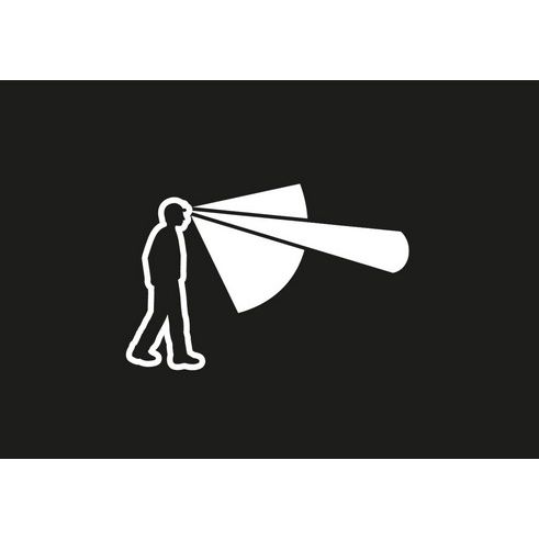 Petzl Actik - Previous Season