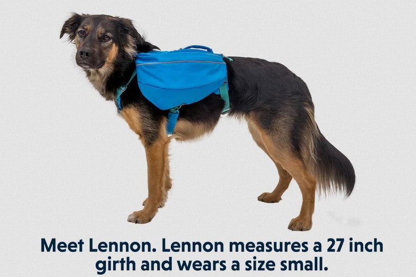 Ruffwear Approach Pack