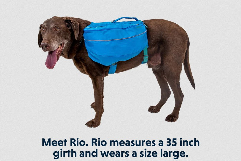 Ruffwear Approach Pack
