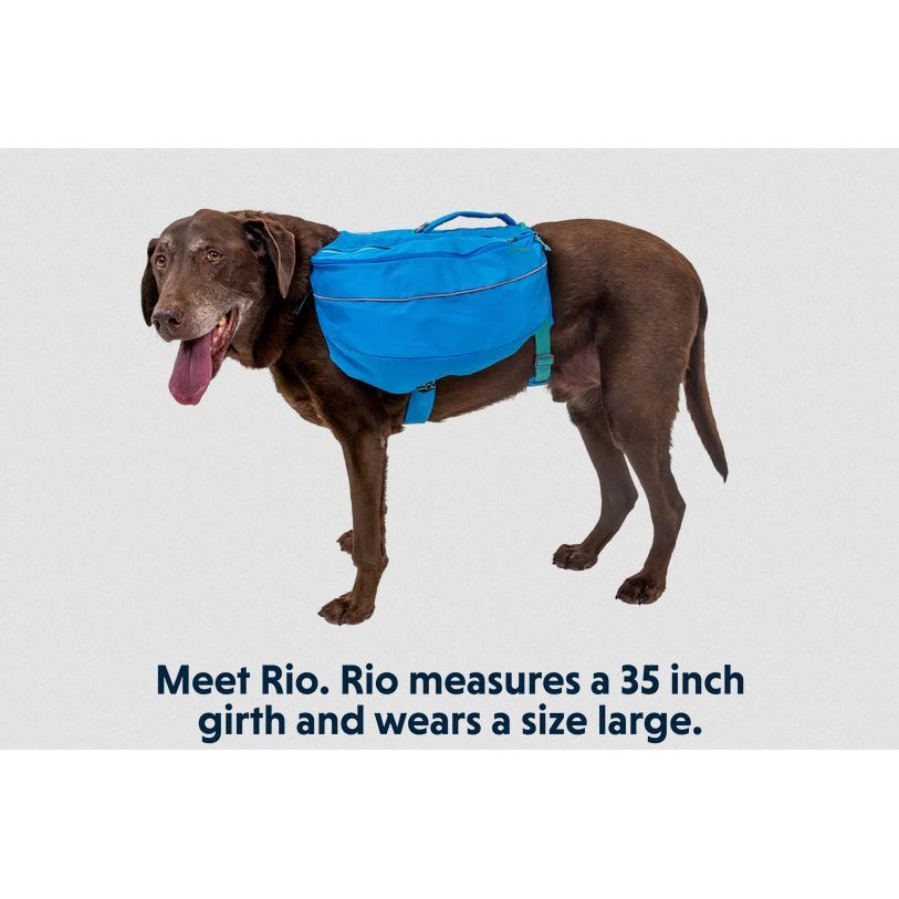 Ruffwear Approach Pack