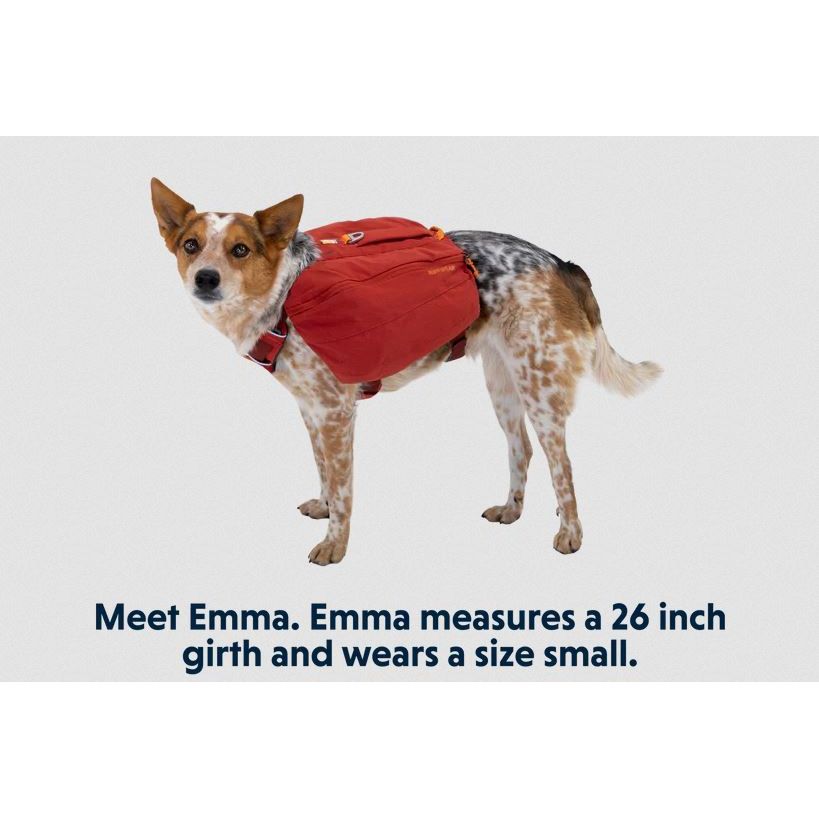 Ruffwear Front Range Day Pack