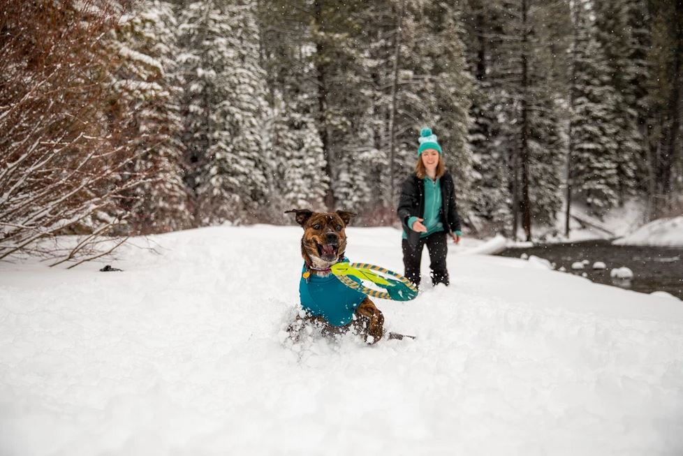 Ruffwear Pacific Ring Toy