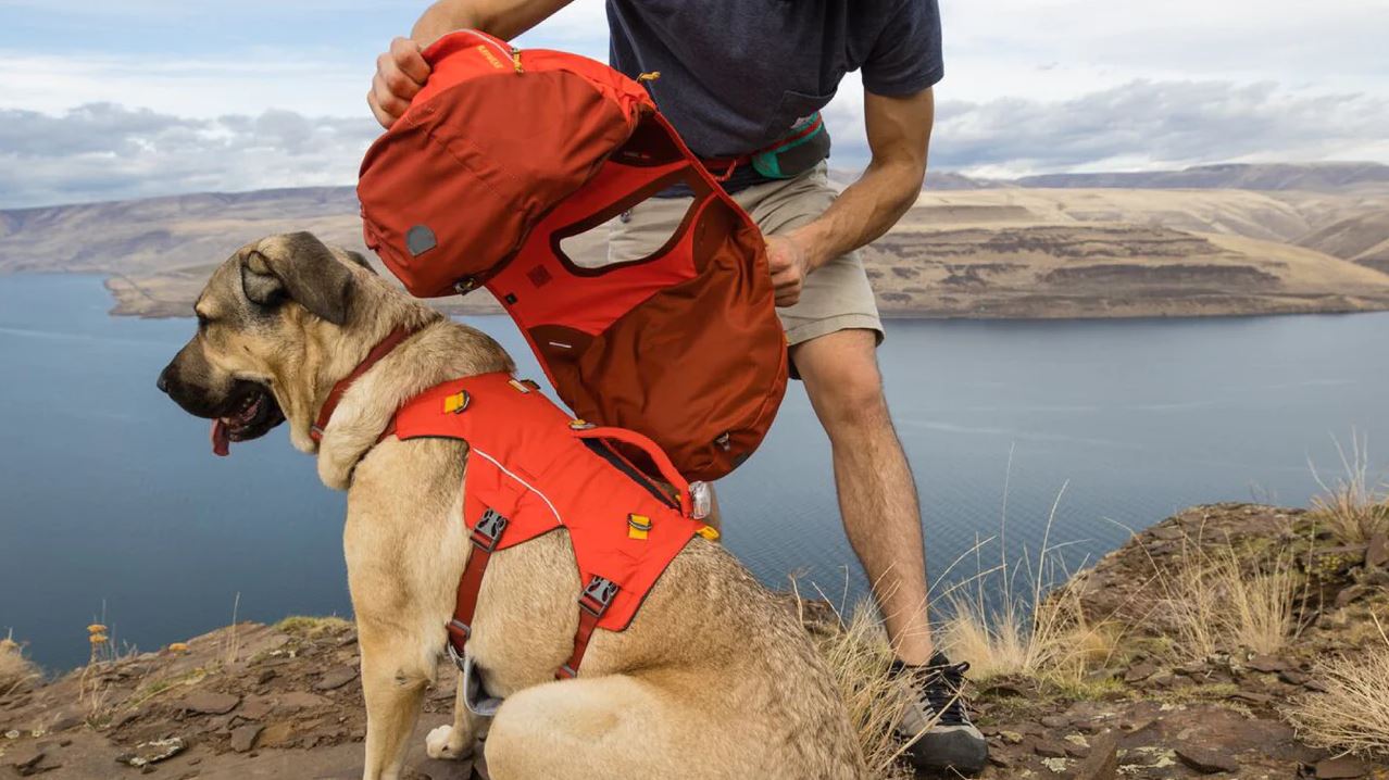 Ruffwear Palisades Pack