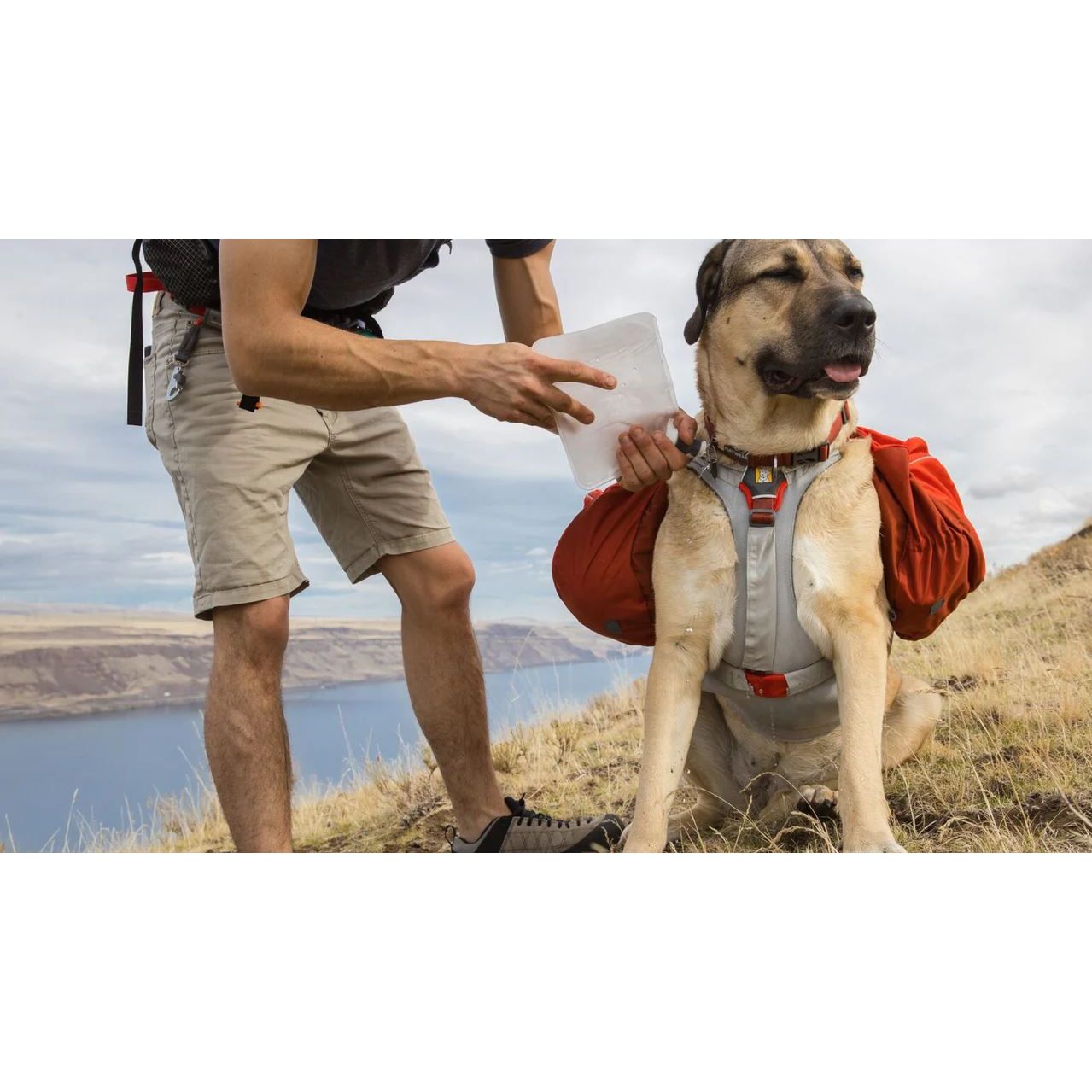 Ruffwear Palisades Pack