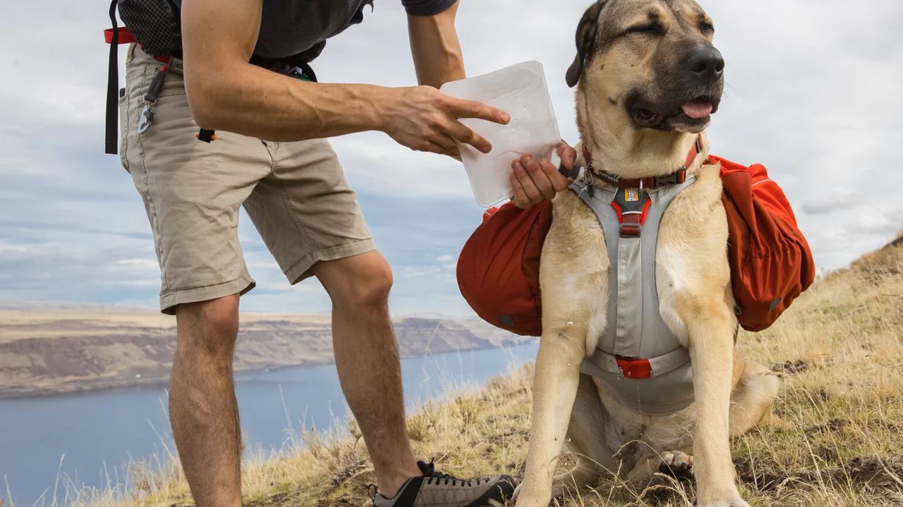 Ruffwear Palisades Pack
